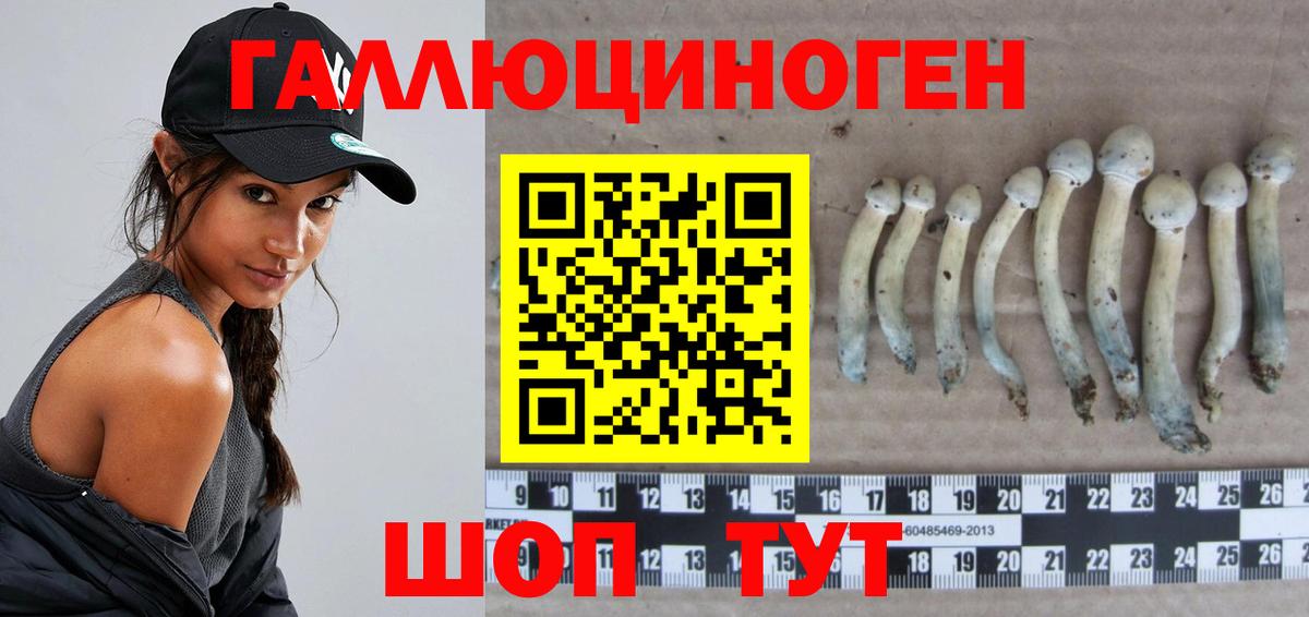 Асино  где купить наркоту  Вход с VPN  Псилоцибиновые грибы прущие грибы 